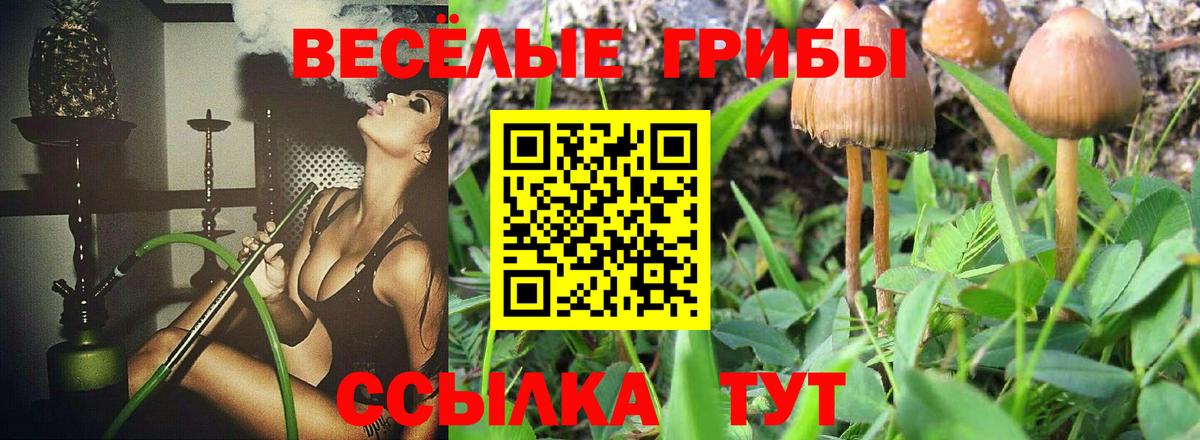 Галлюциногенные грибы MAGIC MUSHROOMS Нижний Новгород